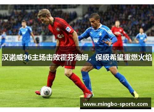 汉诺威96主场击败霍芬海姆，保级希望重燃火焰